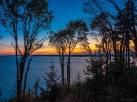 Seattle Photography Discovery Park Sunset Through the Trees