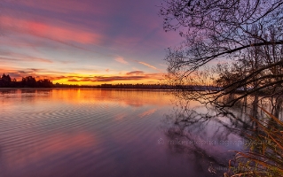 Dreamy Greenlake Sunrise