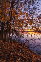 Greenlake Fall Colors