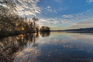 Tranquil Duck Island