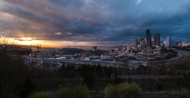 Seattle Dusk Sunstar