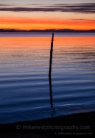 Birch Bay Lone Piling