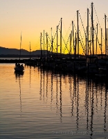 Coming In Shilshole Sunset