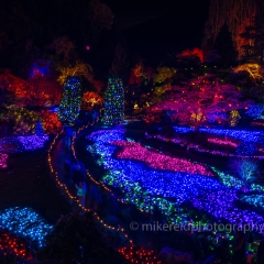 Victoria BC Butchart Sunken Garden Christmas Lights.jpg To order a print please email me at  Mike Reid Photography : butchart gardens, gfx100s, Craigdarroch Castle, buchart gardens, victoria, british columbia, gardens, castle, empress hotel, victoria harbor, queen victoria