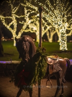 ictoria BC Butchart Carousel Horse Christmas Lights.jpg