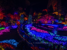 Victoria BC Butchart Sunken Garden Christmas Lights.jpg