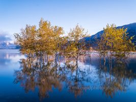 Dreamlike Sunrise Reflections – Misty Aspens and Still Water | GFX100S A peaceful fine art image of aspens reflected in glassy morning water beneath soft sunrise light, captured with the Fujifilm GFX100S. The gentle blur and...