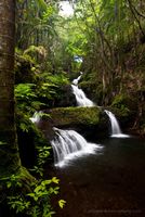 Big Island botanical Garden Falls