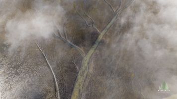 Misty Aerial River Channels, Iceland – Nature’s Veins from Above This ethereal aerial image captures Iceland’s braided river channels partially veiled in soft morning mist. Viewed from above, the winding glacial waters...