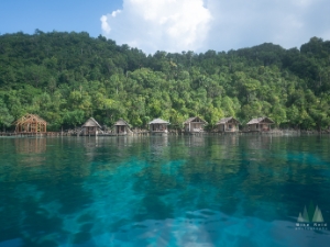 Indonesia Raja Ampat Photography