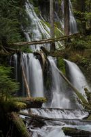 Panther Creek Falls Long View