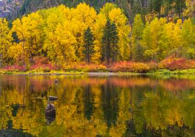 Northwest Fall Colors of the Season