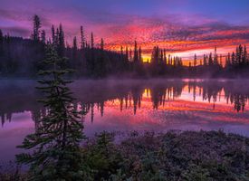 Mount Rainier Photography Reflection Lakes Sunrise Mist.jpg