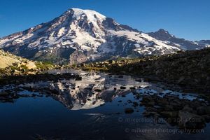 Mount Rainier Reflection at Pinnacle Glacier Tarn A perfect mirror reflection of Mount Rainier glows in the still waters of a tarn near Pinnacle Glacier on a clear summer morning. The rugged alpine terrain and...