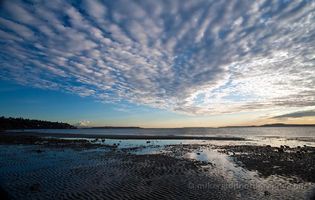 Dramatic Discovery Park Beach Skies A sweeping view of Discovery Park Beach reveals a tranquil Puget Sound shoreline under a vast, patterned sky. Ripples in the sand and shallow tide pools mirror...