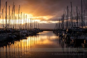 Shilshole Golden Sunset Golden sunset over Shilshole Bay Marina in Seattle with rows of sailboats reflected in still water beneath glowing clouds and warm evening light.