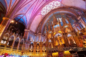 Notre Dame Wide