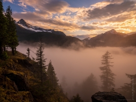 Diablo Lake Trees in the Fog