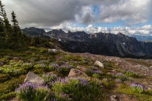 Spray Park Vista