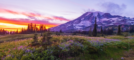 Mount Rainier Photography Fiery Sunrise Panorama.jpg