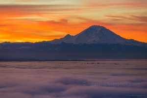 Mount Rainier Photography Rainier Above the Clouds from Seattle