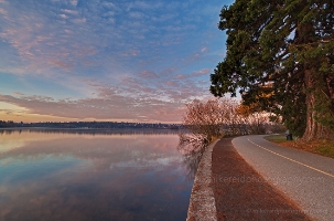 Greenlake Dusk Path