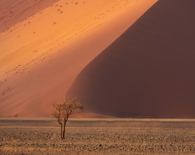 Africa and Namibia Photography After some recent work in South Africa, I had the chance to do a self drive safari around Namibia. Here are some of the...