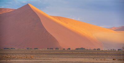 Namibia Photography Sossusvlei Towering Dunes at Dawn