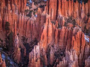 Arizona and Utah Photography