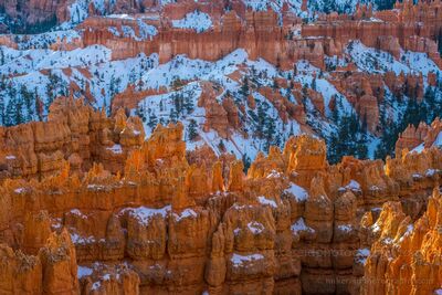 Bryce Canyon Hoodoos in Golden Winter Light, Utah Warm afternoon sunlight illuminates the orange sandstone hoodoos of Bryce Canyon National Park in southern Utah, while patches of winter snow fill the valleys...