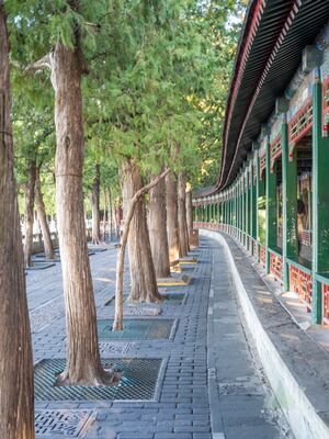 Curving Long Corridor at Beijing Summer Palace The Long Corridor at Beijing’s Summer Palace sweeps gently through a grove of mature trees in soft early morning light. Repeating green columns, red railings,...
