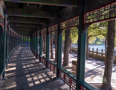 Morning Shadows in the Long Corridor Early morning sunlight casts repeating geometric shadows through the Long Corridor at Beijing’s Summer Palace. The green and red painted structure curves...