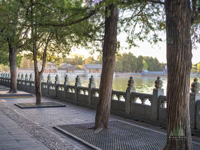 Morning Along the Long Corridor at Beijing Summer Palace Early morning light filters through mature trees along the waterfront near the Long Corridor at Beijing’s Summer Palace. Photographed just after the grounds...