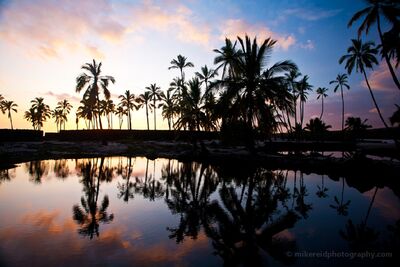Kukio Bay Palm Reflections at Twilight Silhouetted palms and their reflections frame the fading light at Kukio Bay on Hawaii’s Big Island. Soft pink, lavender, and blue tones linger across the sky...