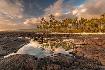 Palm Reflections at Puʻuhonua o Hōnaunau Golden evening light warms the palm-lined lava coast at Puʻuhonua o Hōnaunau on Hawaii’s Big Island. A quiet tide pool mirrors the palms and glowing clouds,...