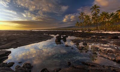 Sunset Tide Pools at Puʻuhonua o Hōnaunau Golden evening light settles over the lava shoreline and palm groves of Puʻuhonua o Hōnaunau on the Big Island of Hawaii. Calm tide pools mirror the dramatic...