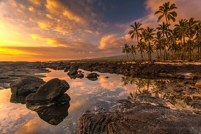 Sunset Tide Pool Reflections at Puʻuhonua o Hōnaunau Fiery sunset light reflects across tide pools and black lava rock at Puʻuhonua o Hōnaunau on Hawaii’s Big Island. A grove of palms rises along the shoreline...