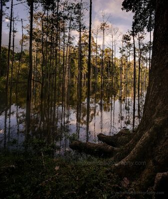 Cambodia Angkor Thom Water