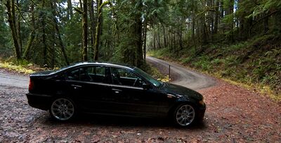 BMW Curvy Road