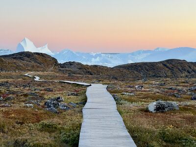 Trail to the Icefjords