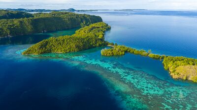 Coral Reef and Island Channels at Piaynemo, Raja Ampat An aerial view across the reefs and forested islands of Piaynemo in Raja Ampat, Indonesia. Brilliant turquoise shallows trace the coral reef beneath the surface...