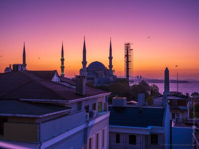 Blue Mosque at Dawn Above the Rooftops of Istanbul The historic Blue Mosque, also known as Sultan Ahmed Mosque, rises above the rooftops of Istanbul, Turkey, beneath a spectacular pink, violet, and orange dawn...