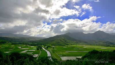 Hanalei Valley Taro Fields Beneath Dramatic Clouds Kauai Hawaii Dramatic tropical clouds drift above the lush green mountains of Hanalei Valley on the north shore of Kauai, Hawaii. Below, traditional taro fields form a...