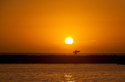 Hawaiian Sunset with Surfer Silhouette A lone surfer carrying a surfboard walks along a rocky breakwater beneath a brilliant orange sunset in Hawaii. The enormous setting sun glows above the Pacific...