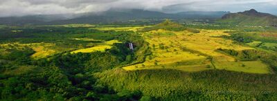 Hidden Waterfall and Green Valleys of Kauai Hawaii Aerial View An aerial view reveals a beautiful waterfall tucked into a steep, forested ravine on the Hawaiian island of Kauai. Brilliant green and golden hillsides stretch...