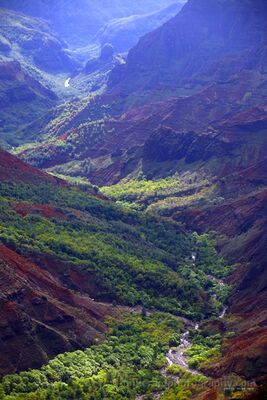 Waimea Canyon Valley and Winding Stream Kauai Hawaii A winding stream cuts through the lush green valley floor of Waimea Canyon on the Hawaiian island of Kauai. Sunlight illuminates pockets of tropical vegetation...