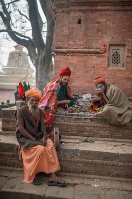 Just Say No To Drugs A Group of Sadhus