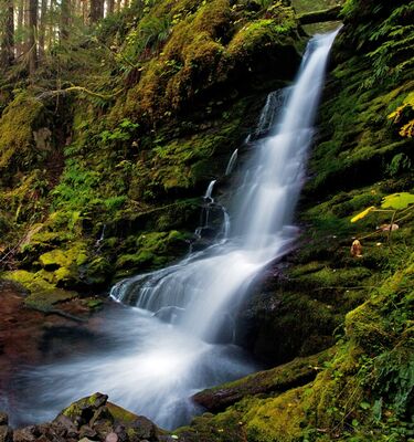 Angel Falls