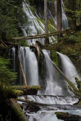 Panther Creek Falls Long View