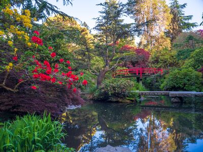 Kubota Gardens Spring Colors